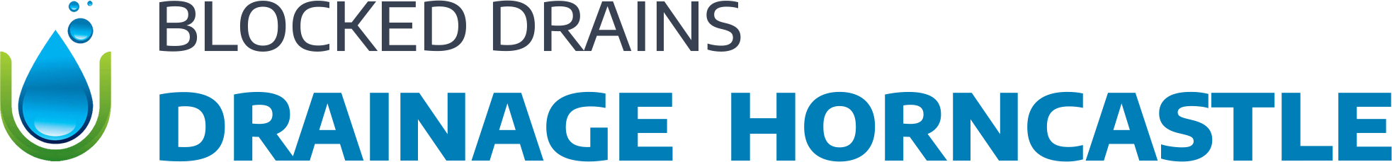 website logo